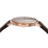 Hodinky AR11572 Hnědé [Emporio Armani] Pánské