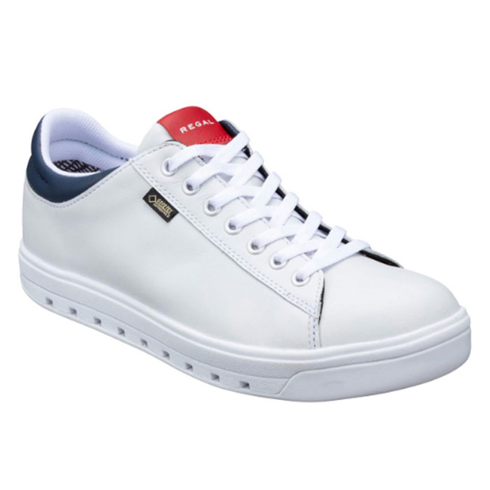 

Court Sneakers 51DL Multi cm [REGAL] GORE-TEX SURROUND(R) Footwear Men s 25.0