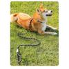 All-in-one Design Dog Leash Collar Set for Small Medium Dogs, Durable Braided Rope Slip Lead Pet Training Leash