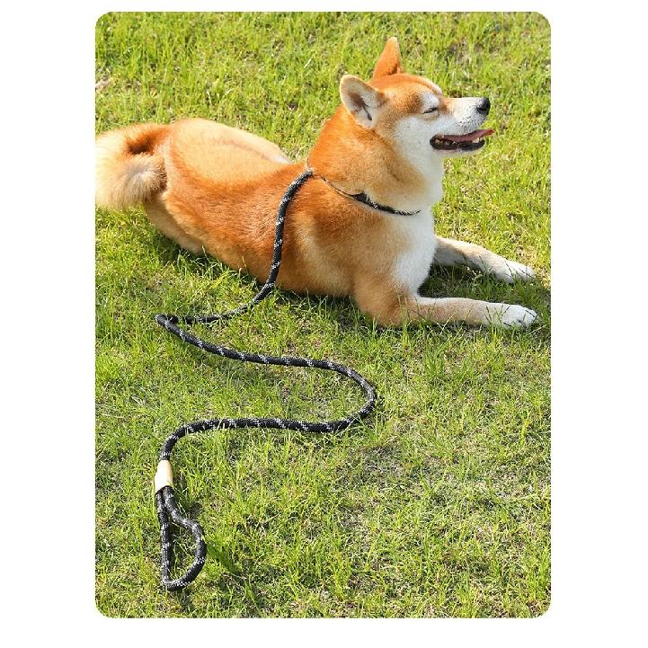 All-in-one Design Dog Leash Collar Set for Small Medium Dogs, Durable Braided Rope Slip Lead Pet Training Leash