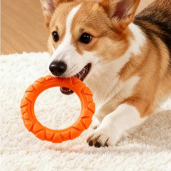 Pet Chew Toy TPR Material Tug-of-War Interactive Training Teeth Dog Chew Ring Bite-Resistant Medium Large Dogs Safe Chew Toy