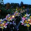 Solar LED Butterfly Flower Light Outdoor Simulation Christmas Lawn Lamp Garden Waterproof Landscape for Home Wedding Decor