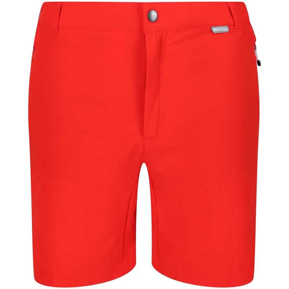 

Regatta Шорты Mountain II 36