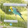 Double Layer Wood Standing Stick Colorful Cotton Rope Bird Cage Swing  Training Perch