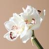 4 Bundles Artificial Phalaenopsis Flower Real Touch Large Fake Orchids Flowers Stem for Vase Home Wedding Party Decor