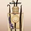 Burberry Goddess Fragrance Collection for Women