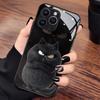 Cool Black Cat Pattern Glass Material Phone Case For iPhone 17 16 15 14 Pro Max 13 12 11 Pro 17 Air 16E 7 8 Plus XR XS X Cover