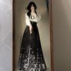 Horse-face Skirt Full Set Chinese Ming Dynasty Style Suit Daily Hanfu