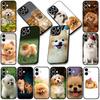 Soft Cover for Apple iPhone 13 12 Mini XS 11 Pro Max 7 8 Plus + XR SE 2022 2020 SE3 Coque Phone Case Pomeranian Poodle Dog