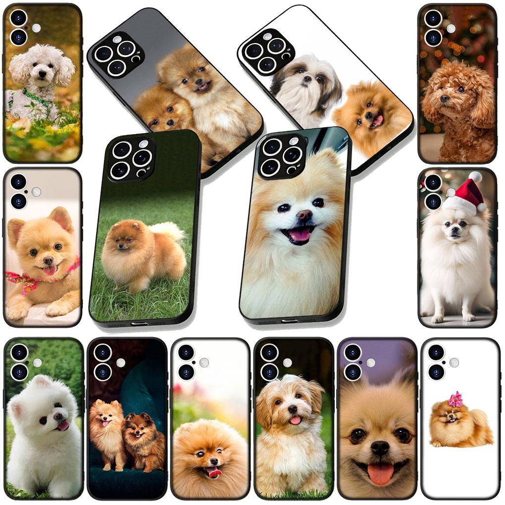 Soft Cover for Apple iPhone 13 12 Mini XS 11 Pro Max 7 8 Plus + XR SE 2022 2020 SE3 Coque Phone Case Pomeranian Poodle Dog