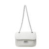 This year's popular bag women's 2025 summer new shoulder bag  version fashion versatile chain bag messenger bag