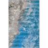 Rovigo Home Washable Printed Carpet RVG1681