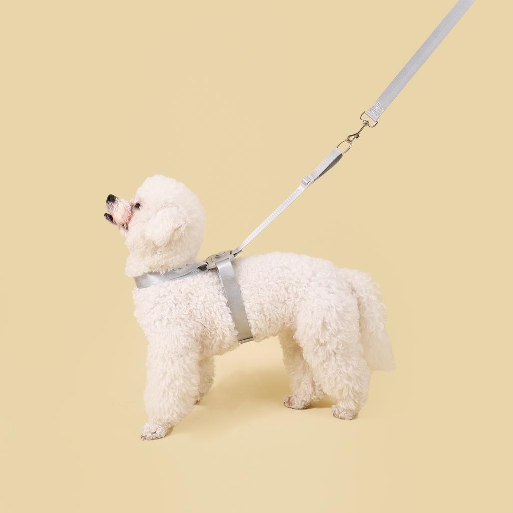 Quick Release Dog Harness Leash No Pull Pet Harness Adjustable Soft Harness For Small Medium Dog Pet Walking Chihuahua