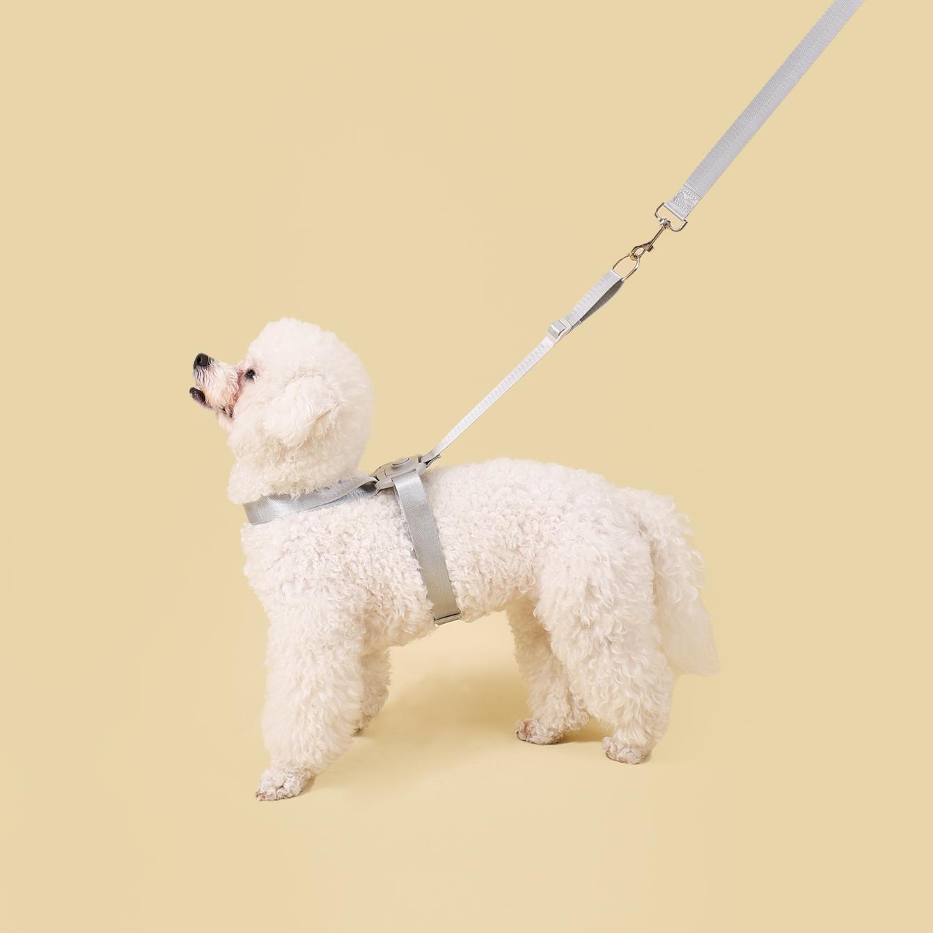 

Быстросъемный поводок для собак, не требующий усилий, регулируемый мягкий поводок для маленьких и средних собак, чихуахуа cat and small dog