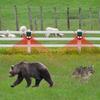 Solar-Powered Infrared Alarm: Motion-Activated Light & Sound Anti-Theft & Animal Repellent