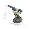Simulationsvogelfiguren Simulierte Sammlerornamente Miniaturvögel Dekor