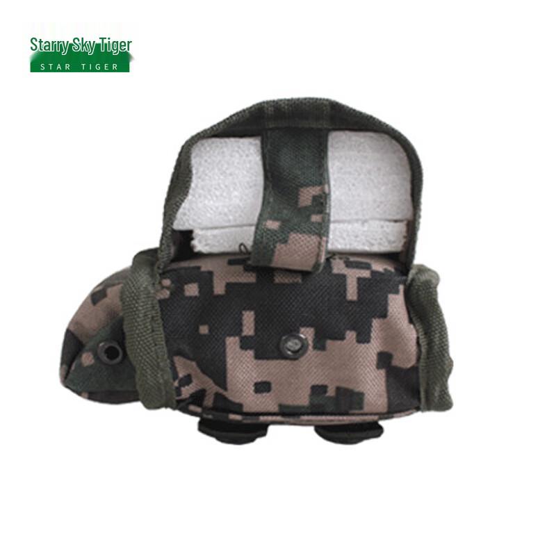 Starry Sky Tiger 06 Radio Pouch