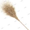 Zhongquanshen Sanitation Leafless Bamboo Broom