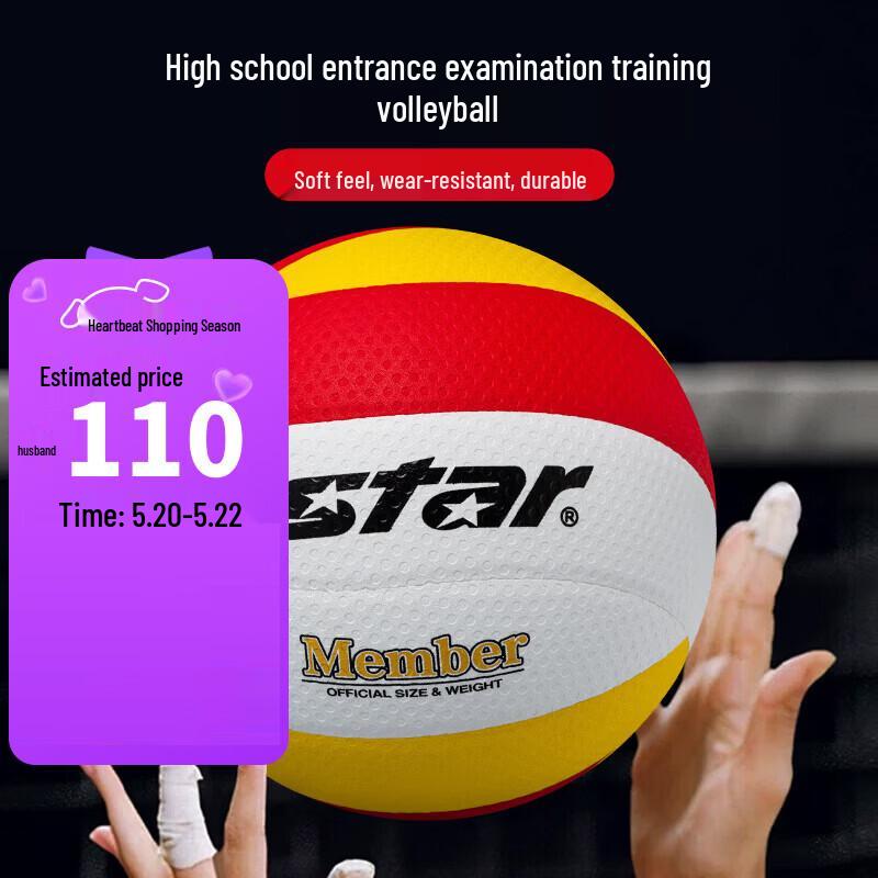 Star Size 5 Competition Training Volleyball
