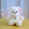 New bear doll eight-inch grab machine doll cute hug bear doll wearing skirt teddy bear plush toy gift