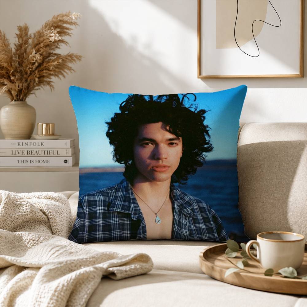 Singer CConan Gray Wishbone Pillow Case for Sofa Living Room Home Office Decor Protective Cover