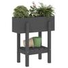 Planter Box Gray 62 X 30 X 69 Cm Solid Pine Wood