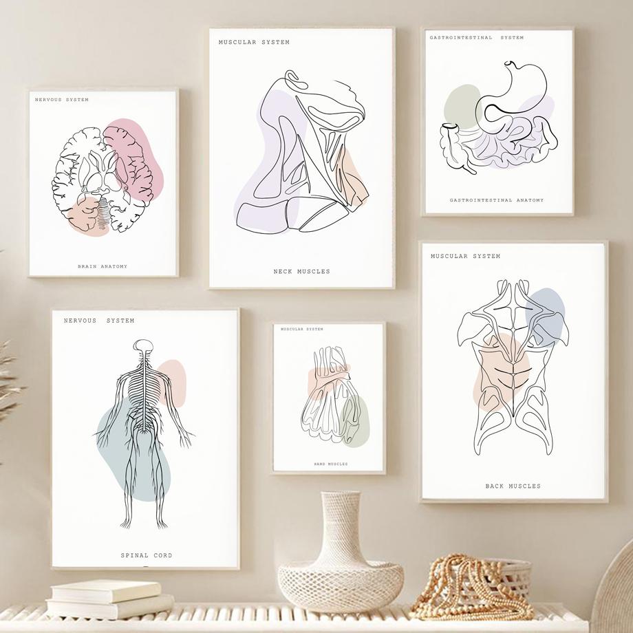 Minimalistisches buntes Anatomie-Linien-medizinisches Poster und Druck, Geist-Zahn-Organ-Wand-Kunst-Leinwand-Malerei, Ästhetik, Raumklinik-Dekor
