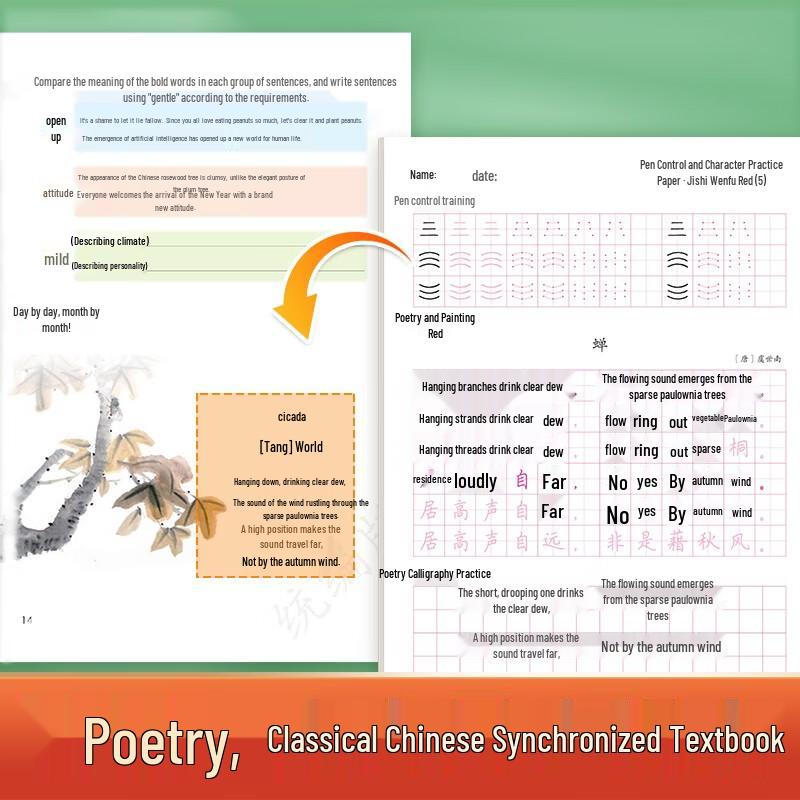 Modian Calligraphy Practice Book Set for Grade 5 Chinese