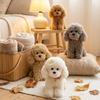 Cute Plush Teddy Dog Doll - Children's Comfort Toy & Valentine's Day Gift for Girlfriend