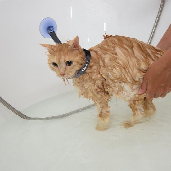 Yousheng Pet Bath Holder Cat Dog Bath Tether Suction Cup Adjustable with Fixed Rope Pet Grooming Shower Bathing Harness Leash Pet Supply