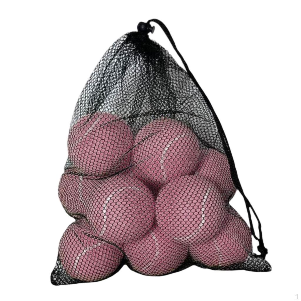 10 Pieces Tennis Balls with Storage Mesh Bag Workout for Pet Dog Adults Kids Yellow