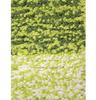 Home Soft Microfibre Anti-Skid Bath Mat - Pack of 2, 35x50 Cm, Green