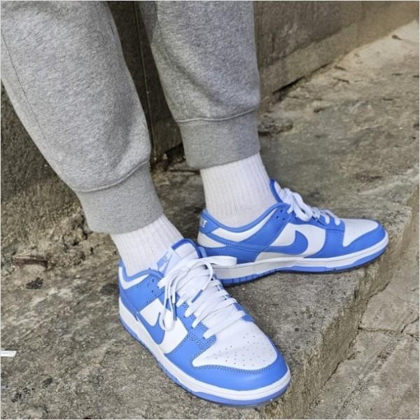 

Мужские кроссовки NIKE Dunk Row Retro DV0833-400, оригинал
