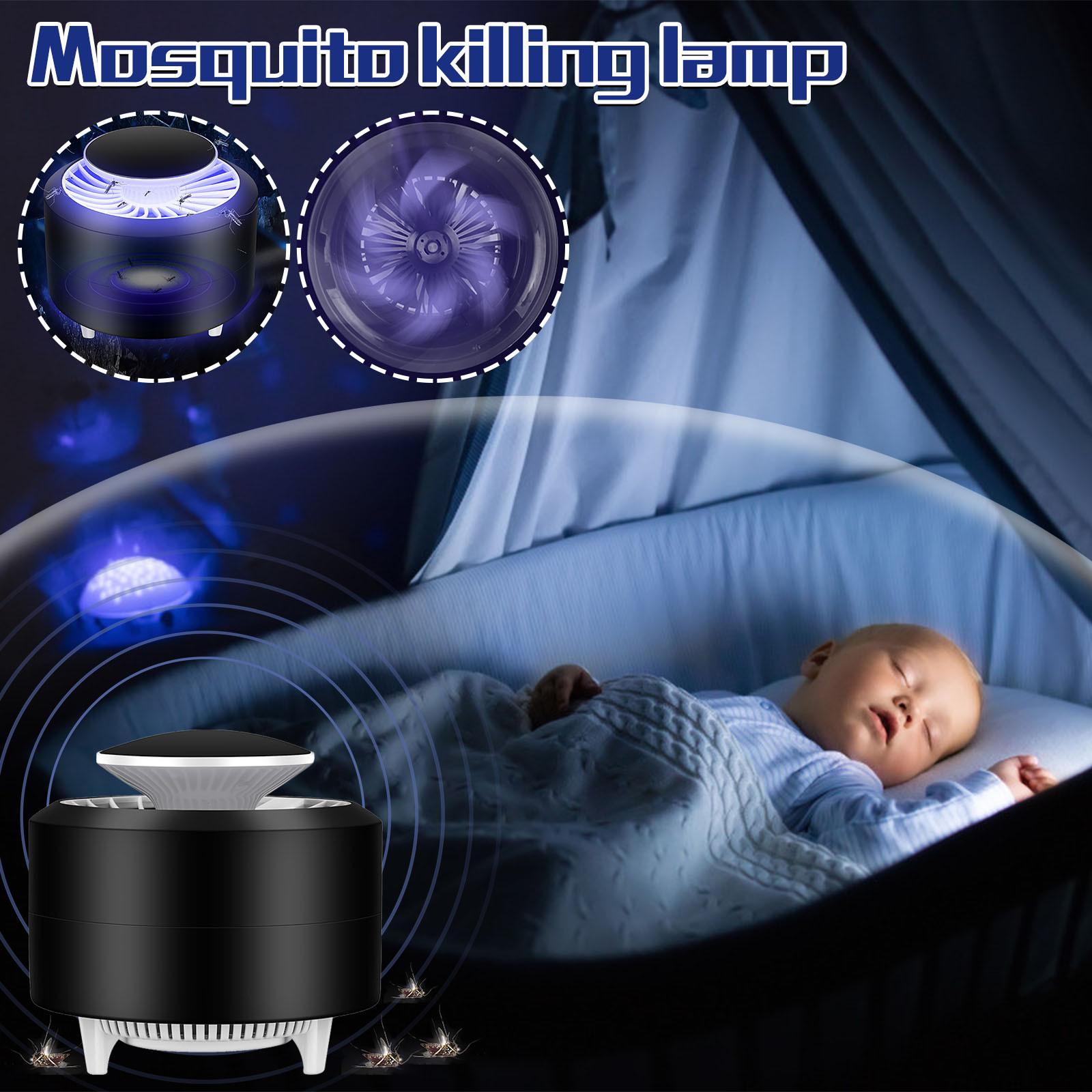 

Mosquito Mosquito Light Cataly