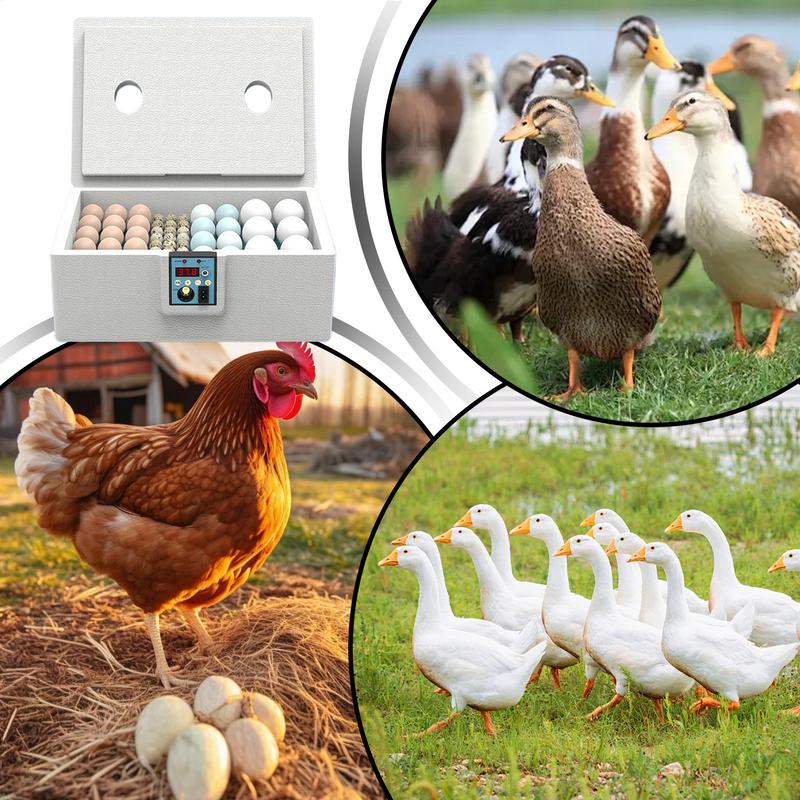 Incubator For Hatching Eggs 10-25 Duck Egg Incubator Intelligent Poultry Brooder Manual Turning Coop Hatcher For Breeding