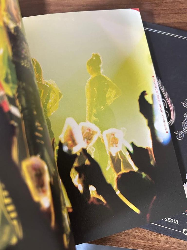 [USED] 2NE1 1st Live Concert Nolza!