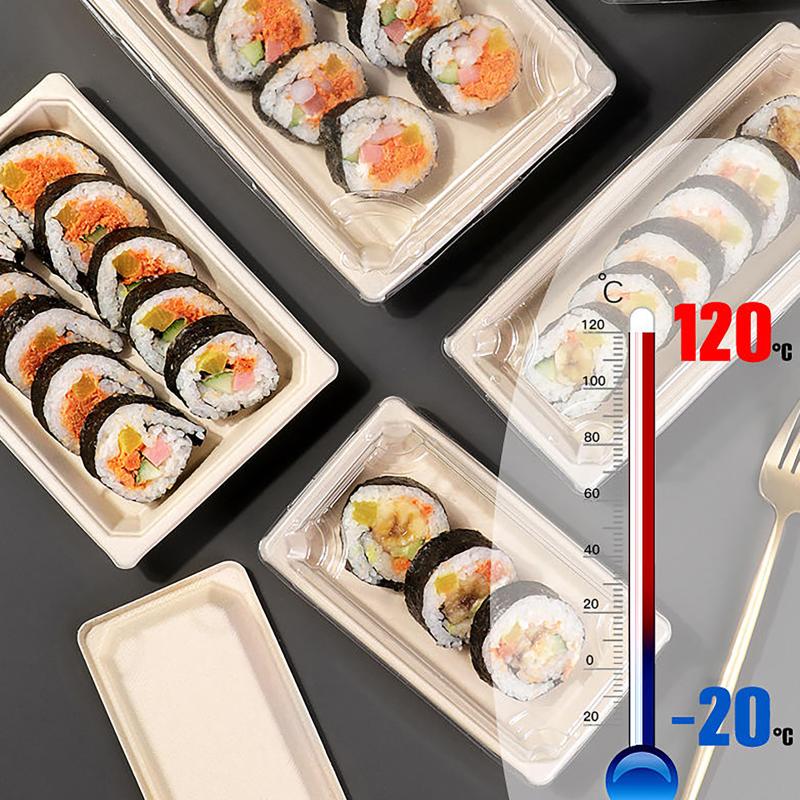 Disposable Sushi Box Home Takeaway Packaging Box Environmentally Friendly And Biodegradable Rectangular Sushi Plate Meal Box