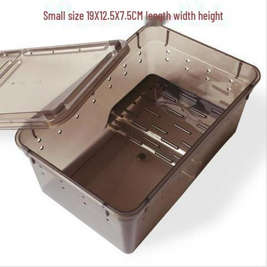 Reptile Habitat Tank for Silkworms, Spiders, Frogs, Snakes, Lizards, Snails, Insects, and Turtles
