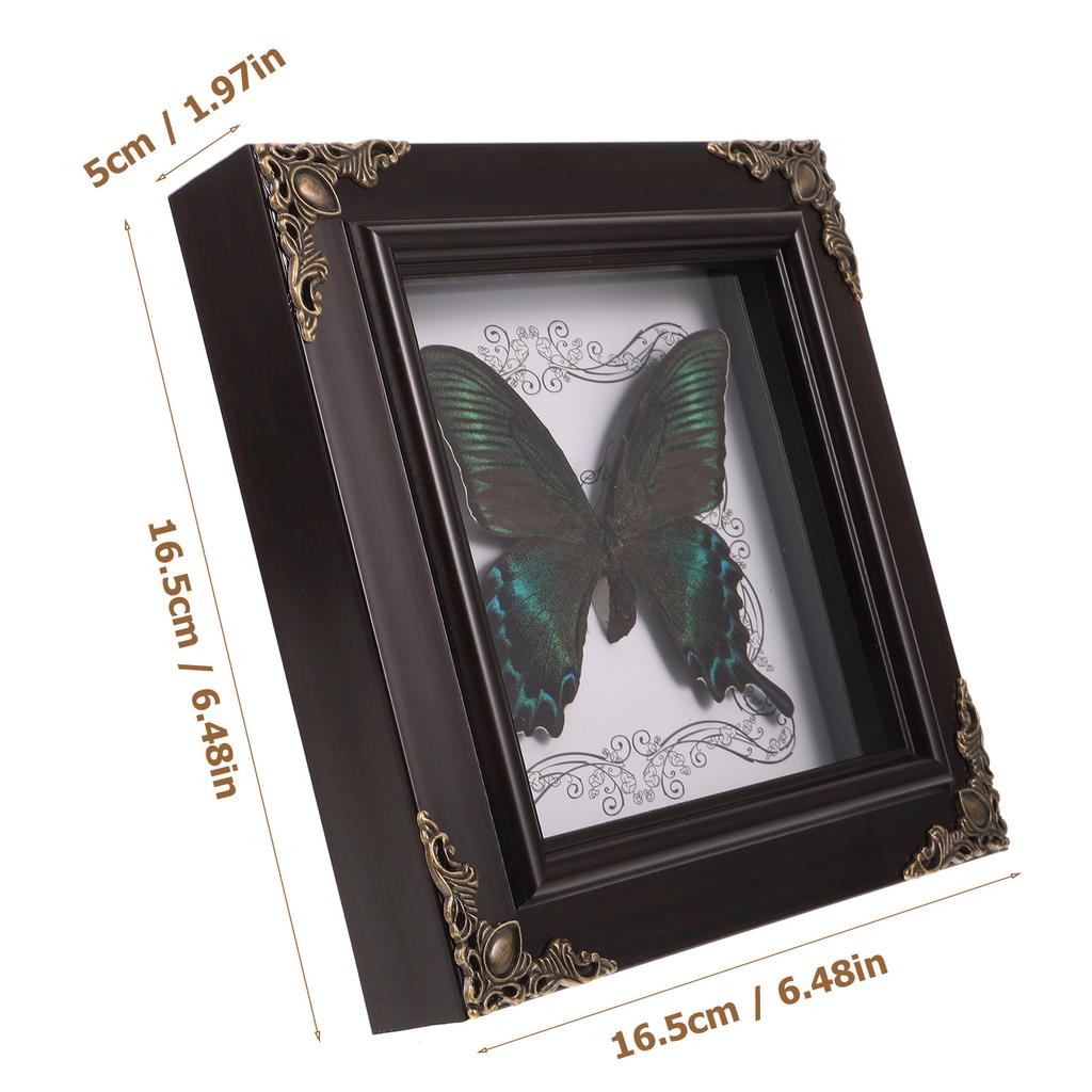 Rámeček na fotografii s motýlím exemplářem Vintage dekorace Hmyz Kancelářský zarámovaný set Nastavení obrázku Domácí ozdoba Dřevěný nástěnný závěsný display box