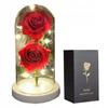 Eternal Double Rose In Glass Led Gift