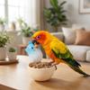 Anti Spill Bird Food Bowl Large Capacity Pet Feeding Cup Practical Food Water Dish  Small Pet Bird