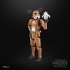 Hasbro Star Wars Black Series Stormtrooper (Holiday Edition), Star Wars Premium Collectible 15cm Action Figure G1398, Authentic