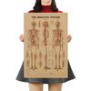 The Skeleton of The Body Structure Nervous System Poster Bar Home Decor Retro Kraft Paper Painting 42x29cm Wall Sticker