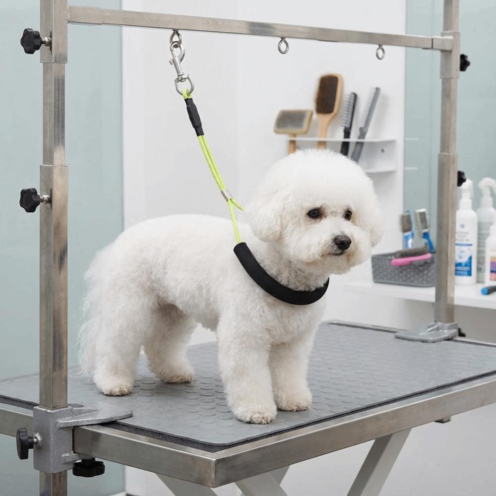 Adjustable Dog Restraint Rope Soft Foam Padded Pet Bathing Fixed Leash Pet Nail Clipping