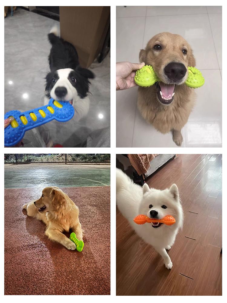 Dog Squeaky Molar Bone Chew Toy Bite Proof Teeth Cleaning Dental Care Durable Interactive Play Toy For Puppy Small Medium Large