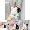 Niedlicher Plüsch Stern Hase Schlüsselanhänger Kreativer Koreanischer Stil Puppenanhänger Geschenk Für Jeden