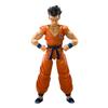 BANDAI One of the Most Powerful People On Earth S.H.Figuarts Yamcha,