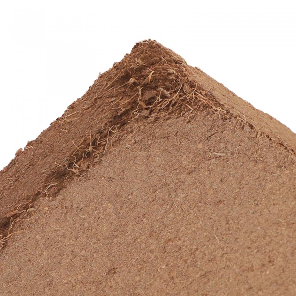 Aerated Coco Coir Soil Block Organic Solution for Healthy Plant Growth