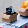 3D kreslený kryt sáněk fotoaparátu Roztomilý pro kočku DSLR Prachotěsný kryt sáněk pro DS