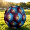 Aston Villa FootballPrinted Size 5 Soccer Ball, Anti Slip Adult Match Football Souvenir for Football Fans